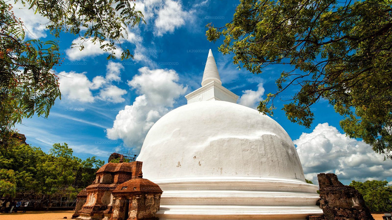 Visita guidata dell'antica città di Polonnaruwa con biglietto d'ingresso incluso.