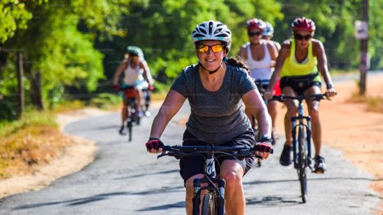 Noleggio biciclette da Galle