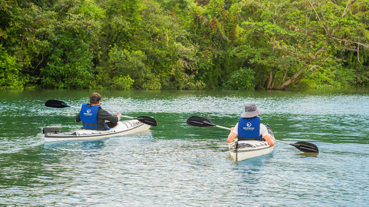 Two people kayaking on a river with lush greenery in the background