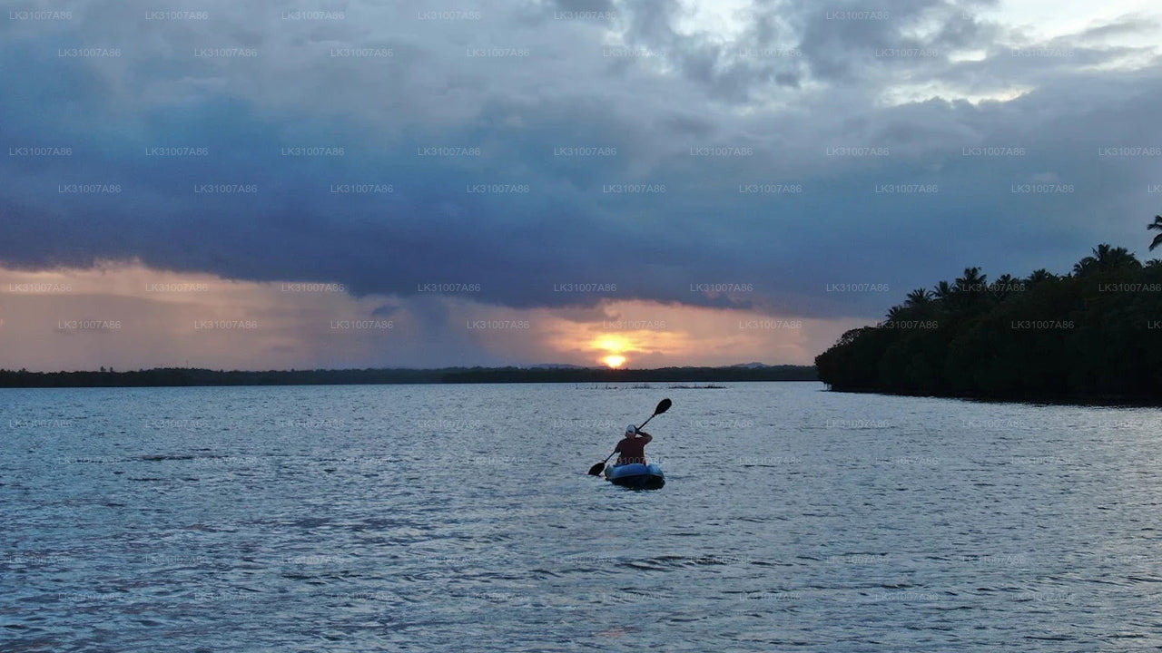 Tour in kayak nella laguna da Negombo