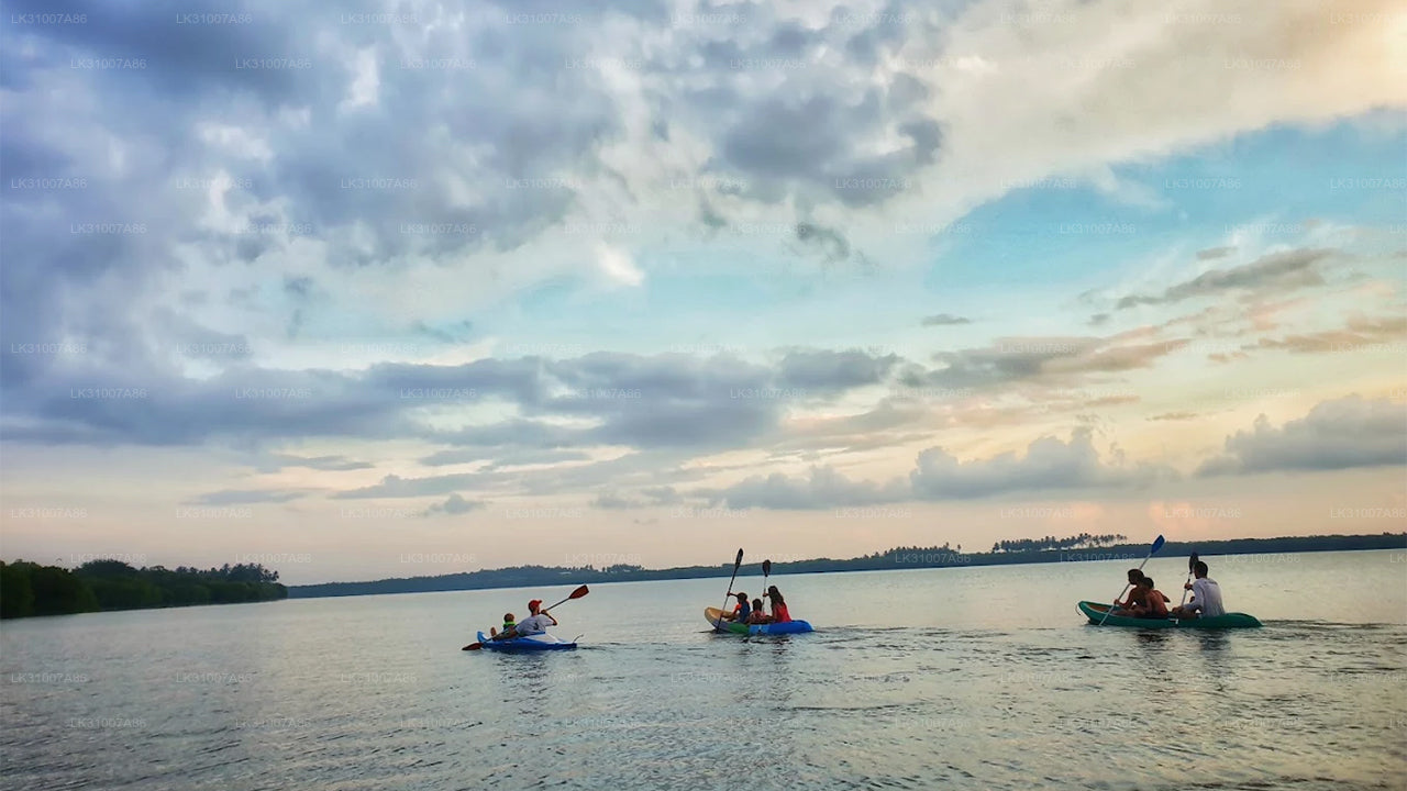 Tour in kayak nella laguna da Negombo