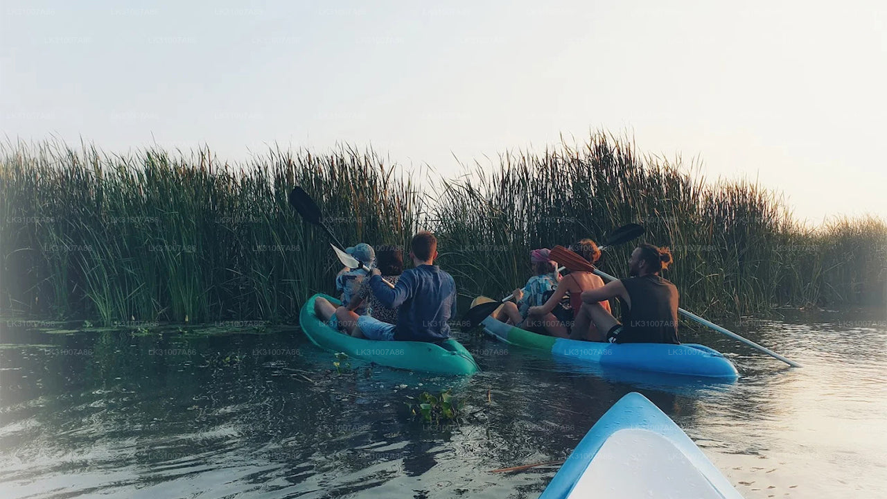 Tour in kayak nella laguna da Negombo