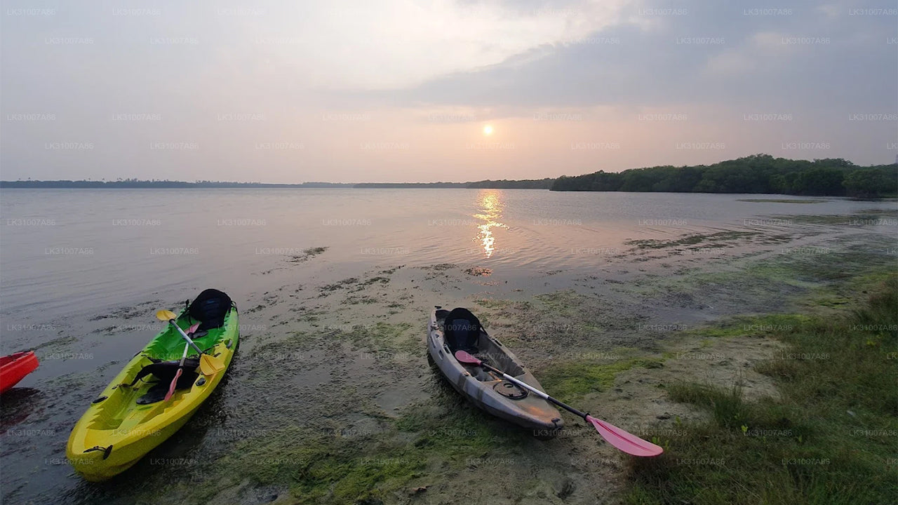 Tour in kayak nella laguna da Negombo