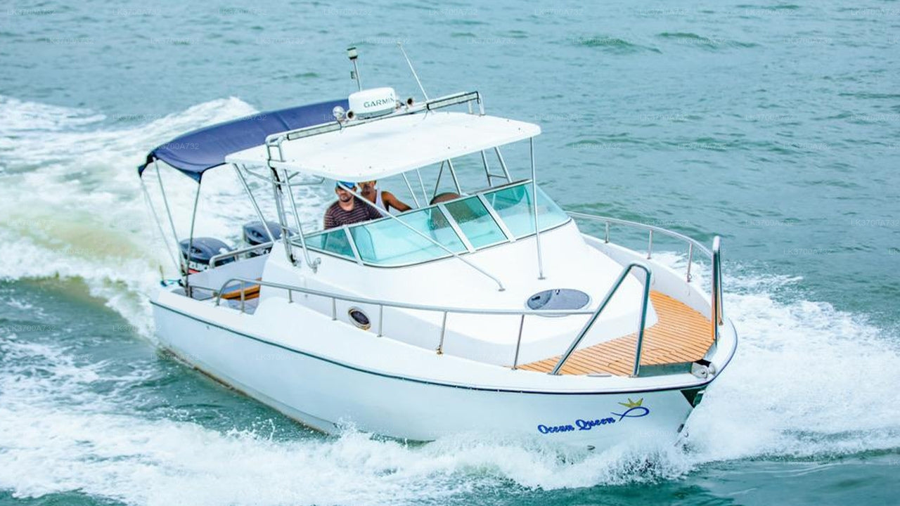 Private Fishing Tour by Luxury Speedboat from Mirissa