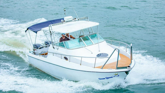 Private Whale Watching Tour by Luxury Speedboat from Mirissa