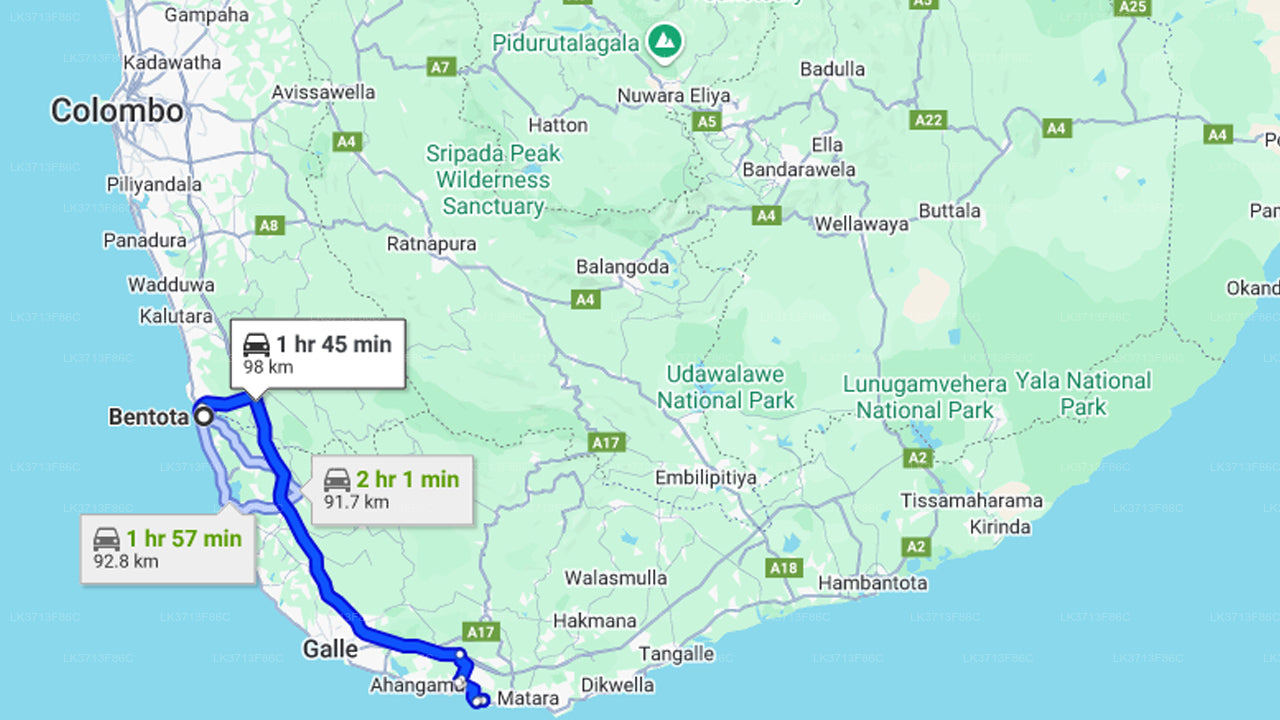 Whale Watching from Bentota on Shared Boat