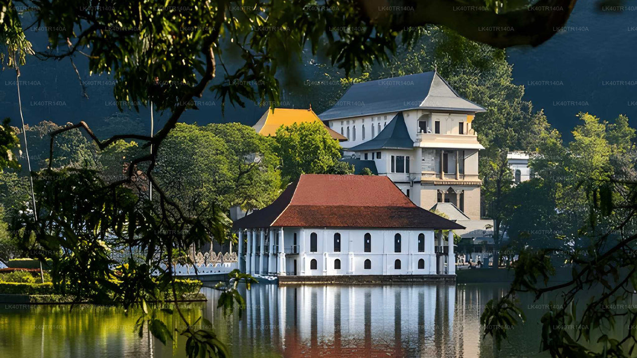 Da Ella a Kandy: un viaggio panoramico in treno e auto o furgone