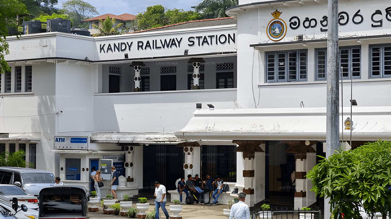 Da Kandy a Ella: un viaggio panoramico in treno e auto o furgone