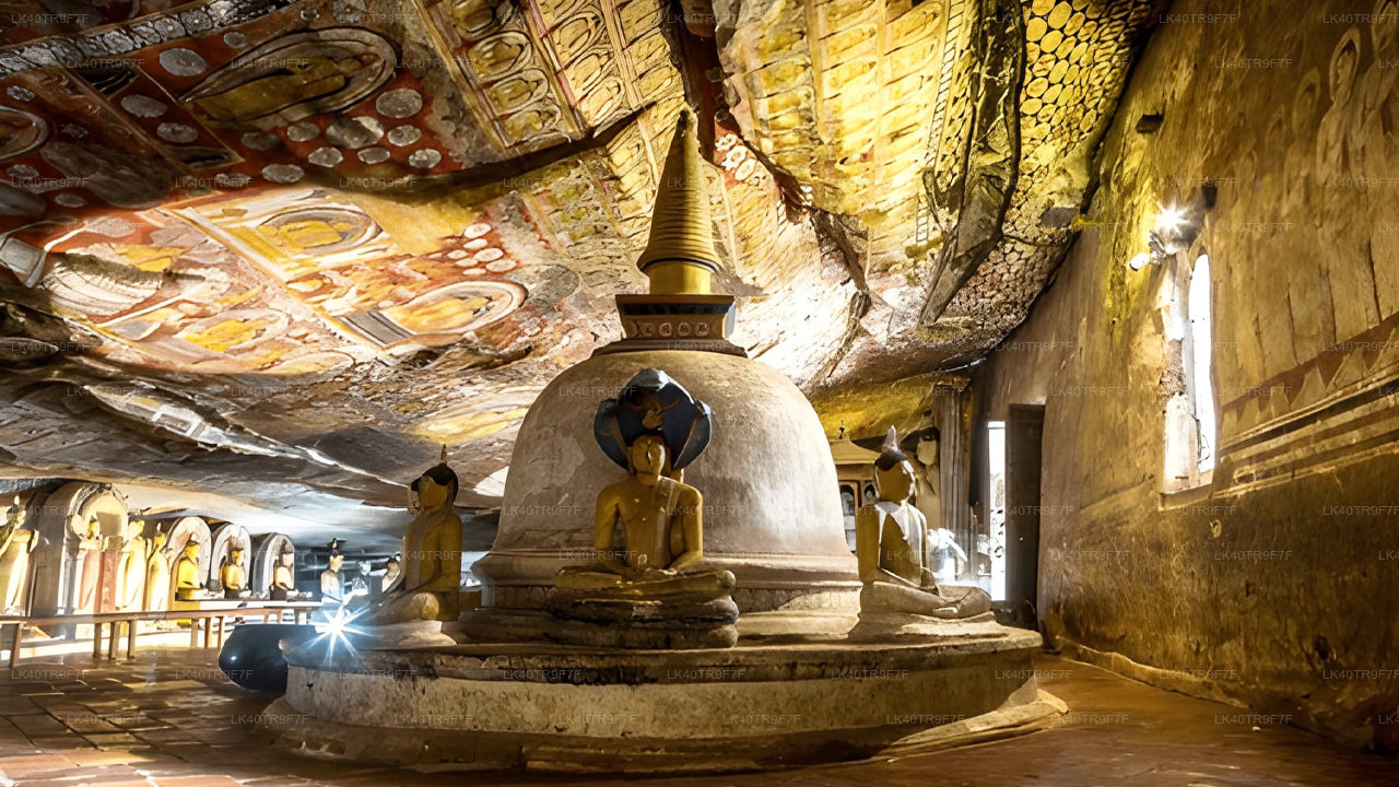 Trasferimento privato da Colombo a Sigiriya con fermate turistiche