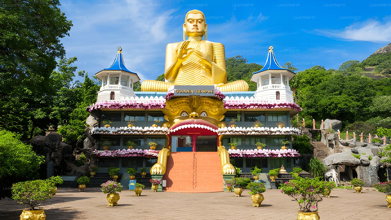 Trasferimento privato da Colombo a Sigiriya con fermate turistiche