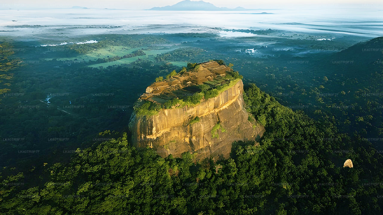 Trasferimento privato da Colombo a Sigiriya con fermate turistiche