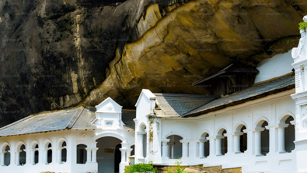 Trasferimento privato da Colombo a Sigiriya con fermate turistiche