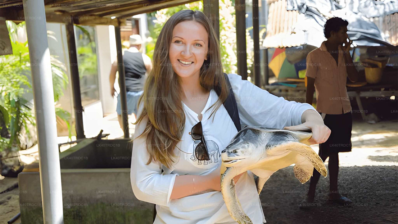 Private Transfer from Negombo to Hiriketiya with Sightseeing Stops