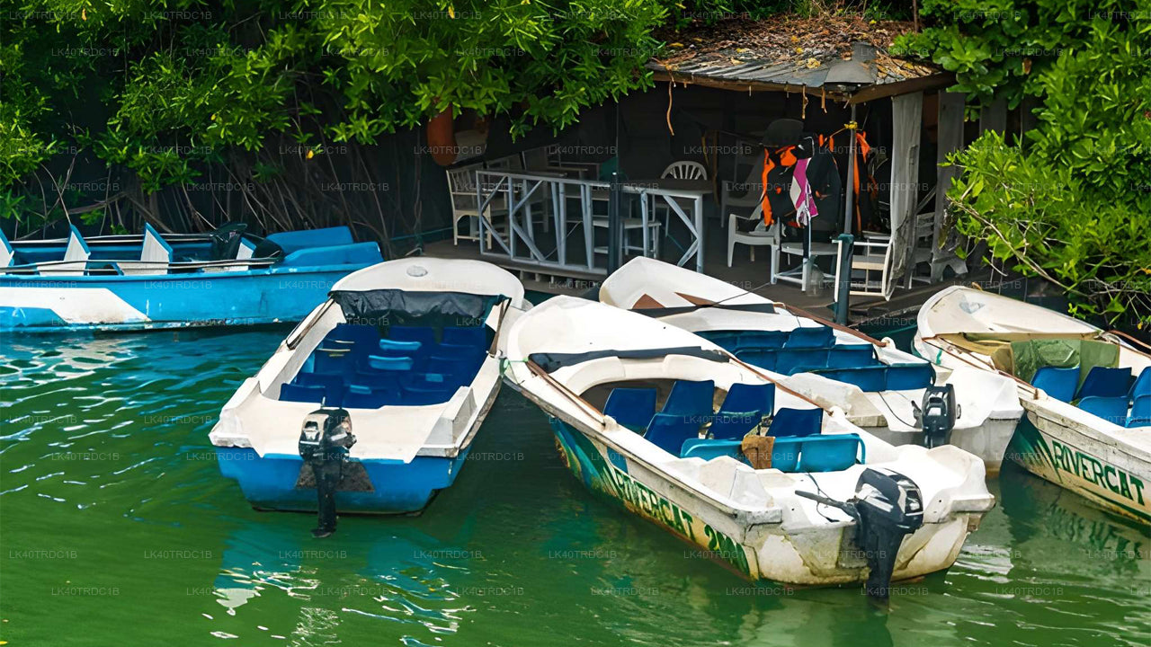 Private Transfer from Negombo to Hiriketiya with Sightseeing Stops