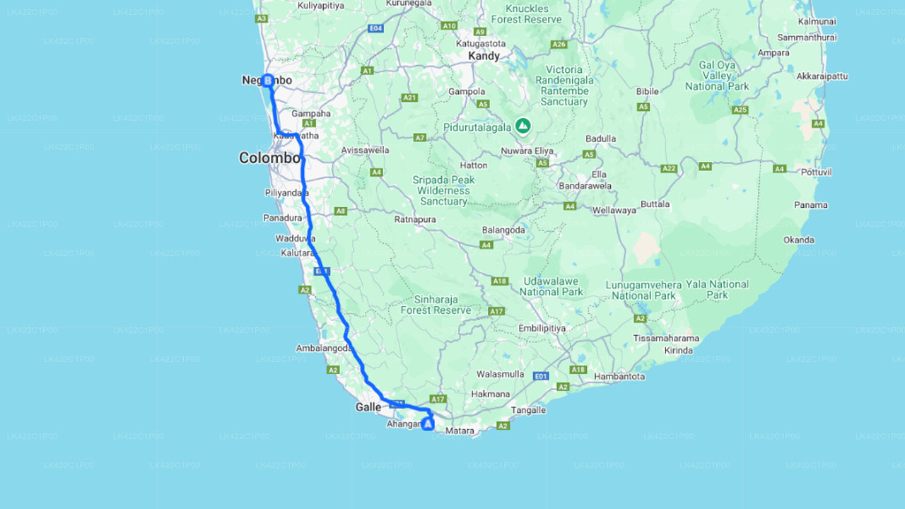 Trasferimento privato da Weligama a Negombo
