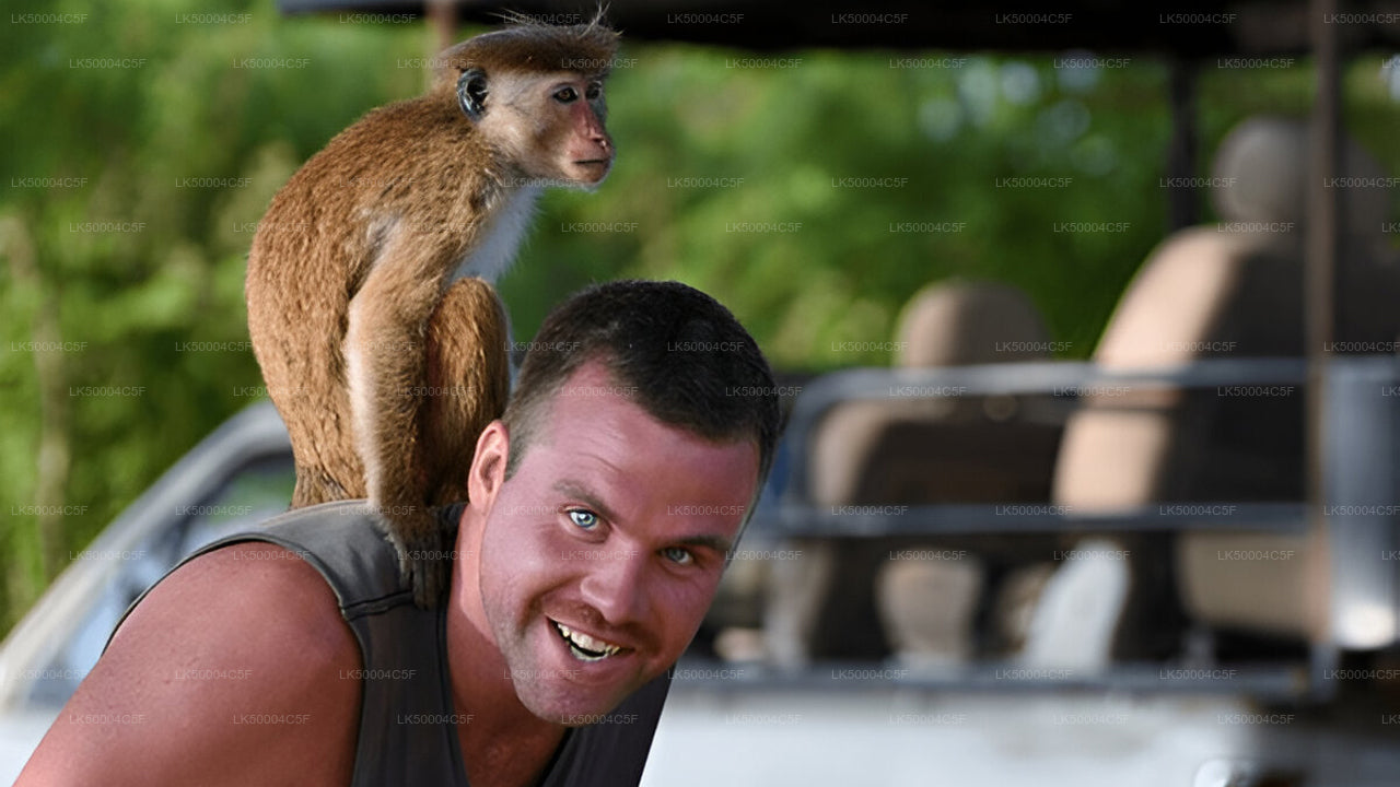 Private Tour from Ella to Weligama with Udawalawe Safari