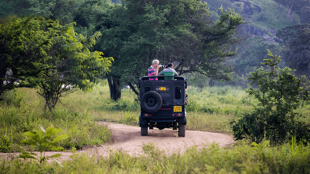 Parco nazionale di Yala (blocco 5) Safari etico