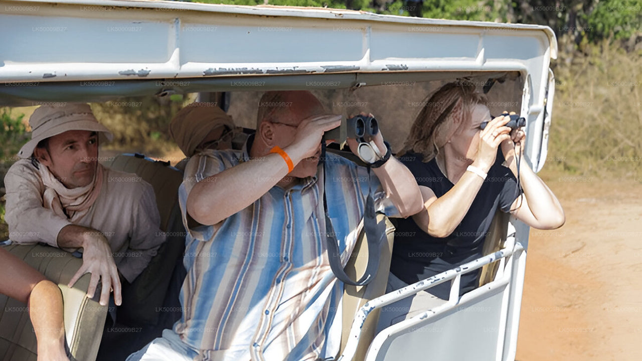 Private Tour from Weligama to Ella with Yala Safari