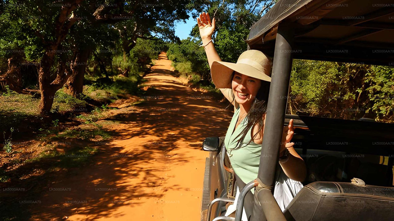 Safari privato nel Parco Nazionale Wilpattu