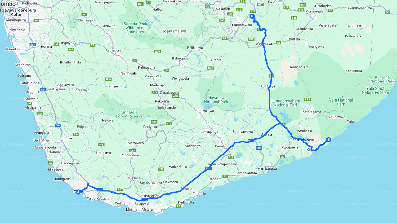 Private Tour from Galle to Ella with Yala Safari