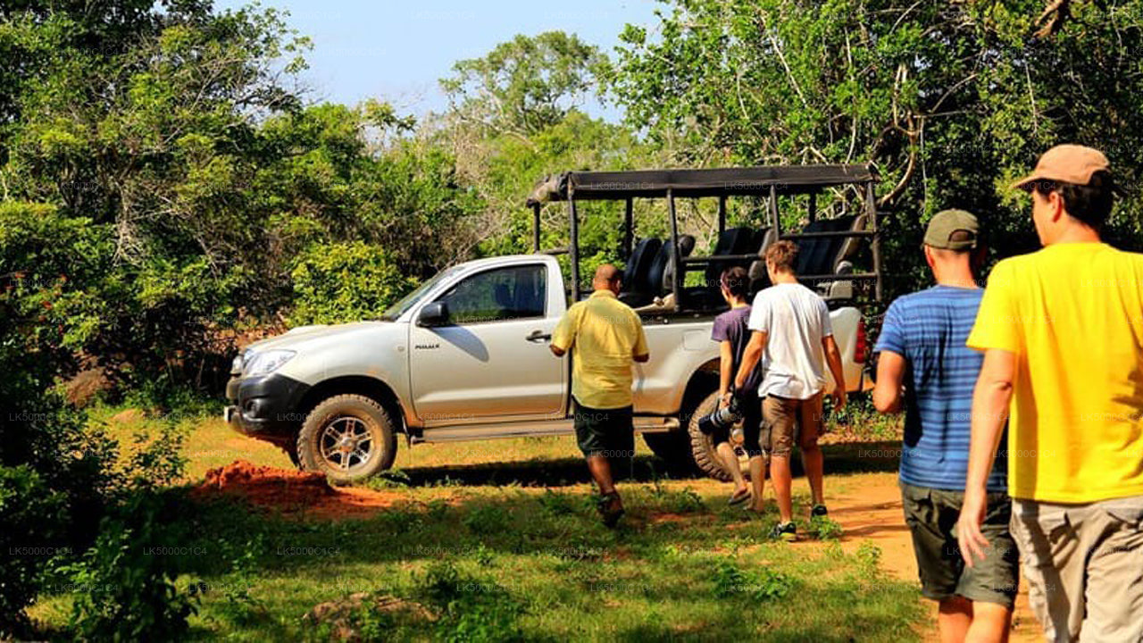 Private Tour from Ella to Hiriketiya with Udawalawe Safari