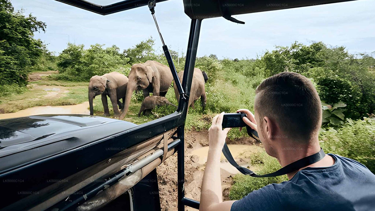 Tour privato da Ella a Hiriketiya con Udawalawe Safari