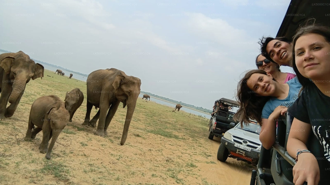 Tour privato da Ella a Hiriketiya con Udawalawe Safari