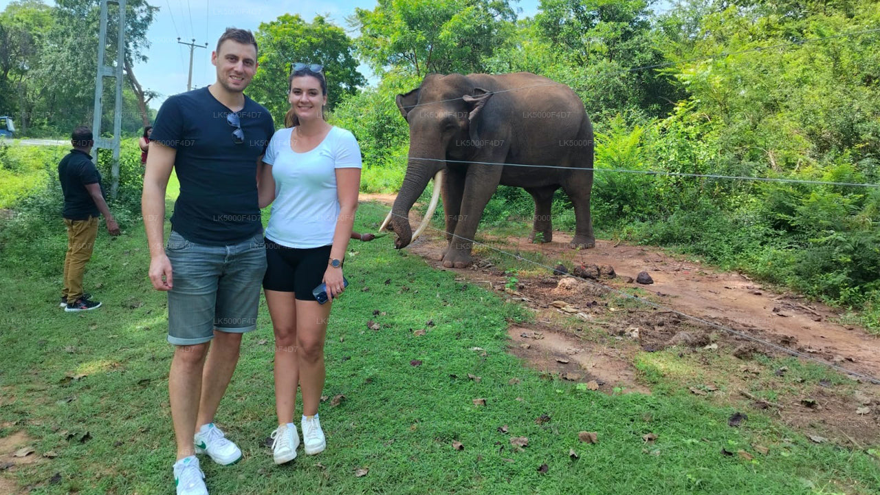 Private Tour from Ella to Hiriketiya with Yala Safari