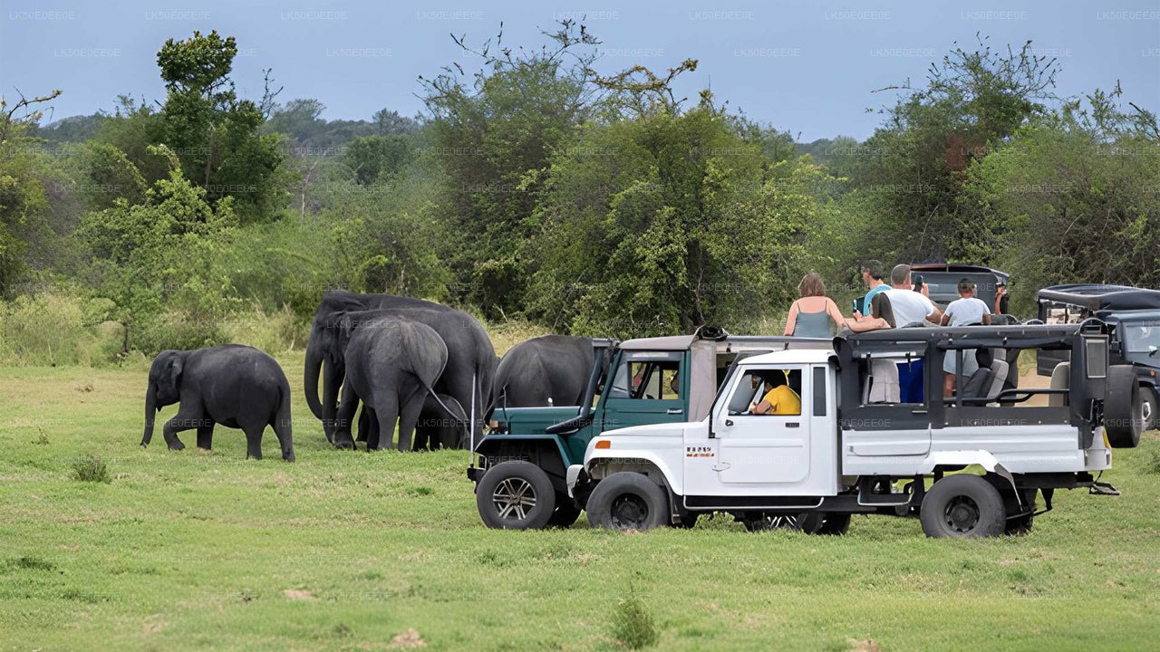 Safari privato al parco ecologico Hurulu