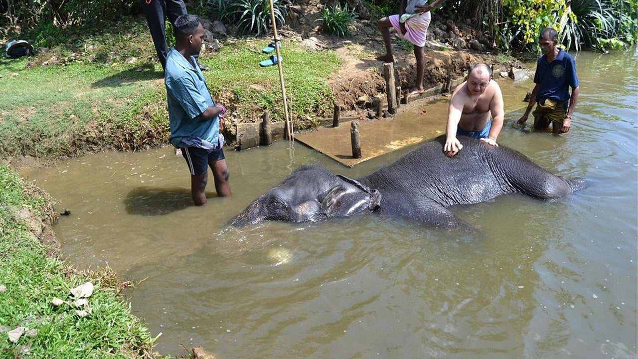 Passeggiata a dorso di elefante da Boossa