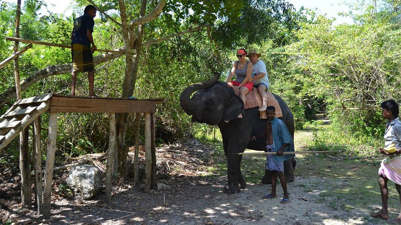 Passeggiata a dorso di elefante da Boossa