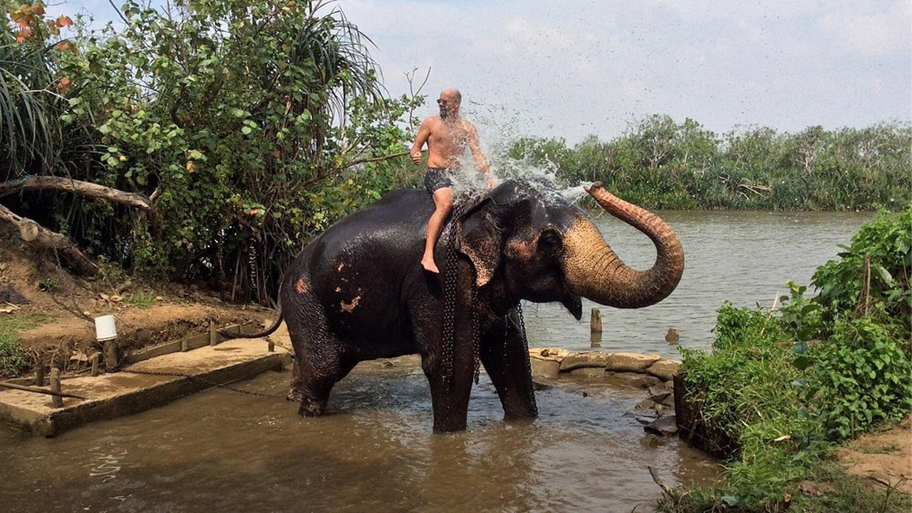 Passeggiata a dorso di elefante da Boossa