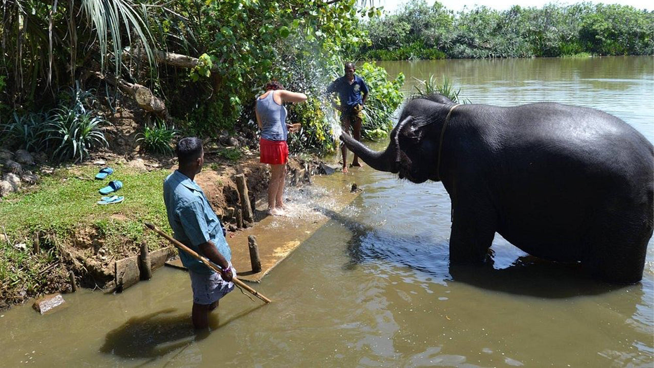 Passeggiata a dorso di elefante da Boossa