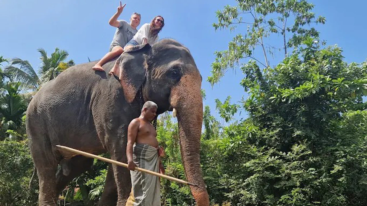 Passeggiata a dorso di elefante da Boossa