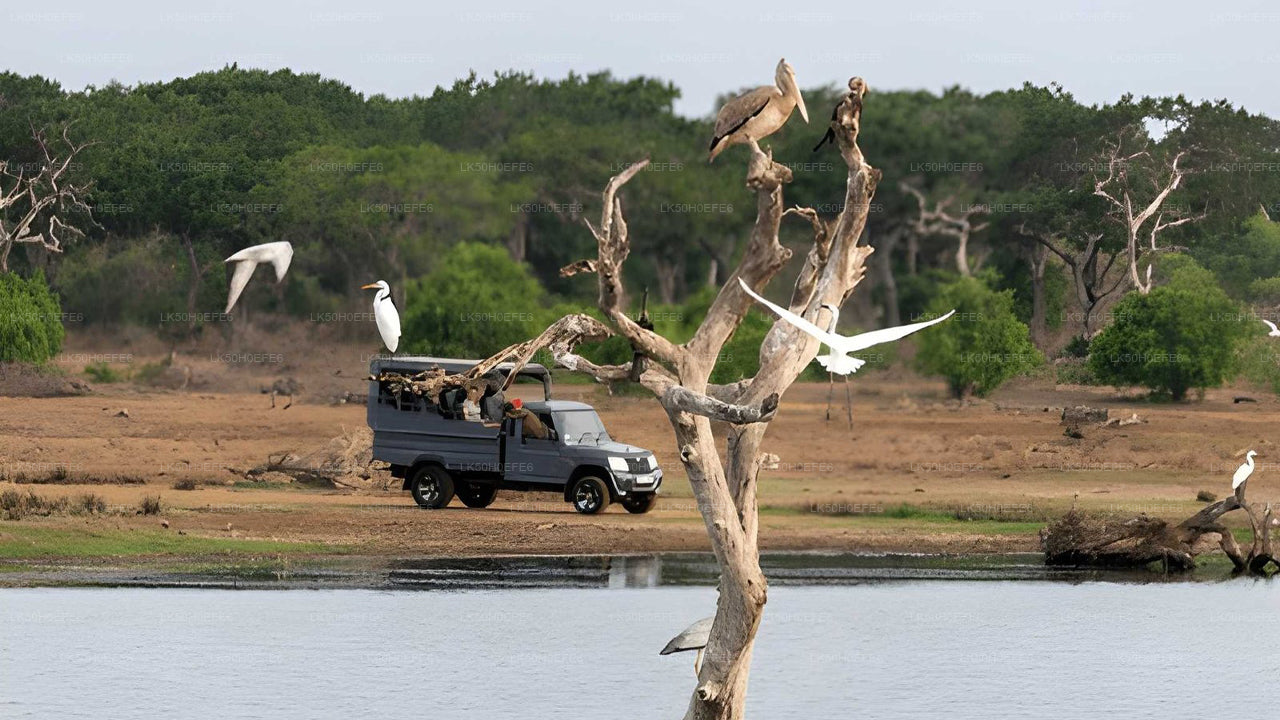 Safari privato nel parco nazionale di Bundala
