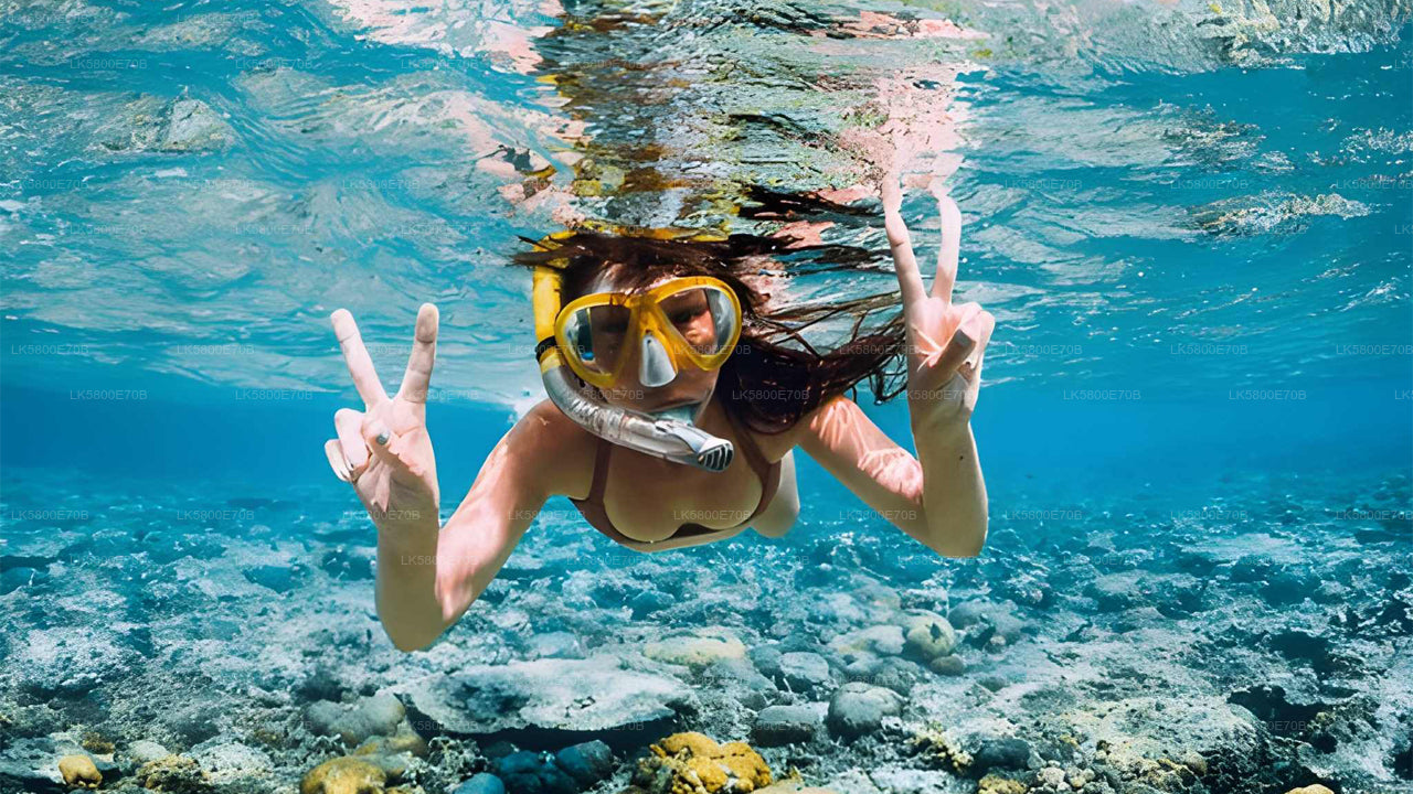 Snorkeling con le tartarughe marine da Bentota