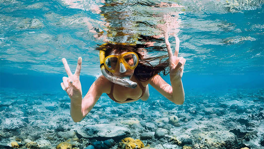 Snorkeling con le tartarughe marine da Bentota