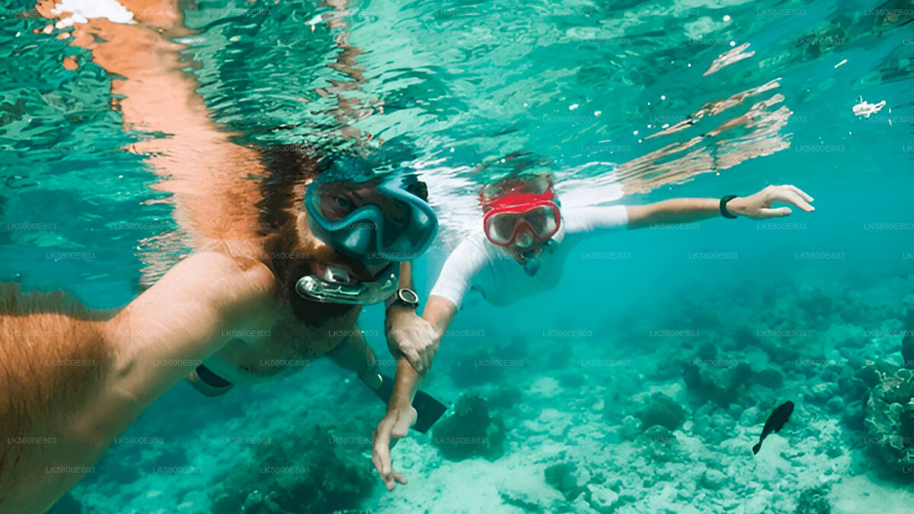 Snorkeling at Pigeon Island from Trincomalee
