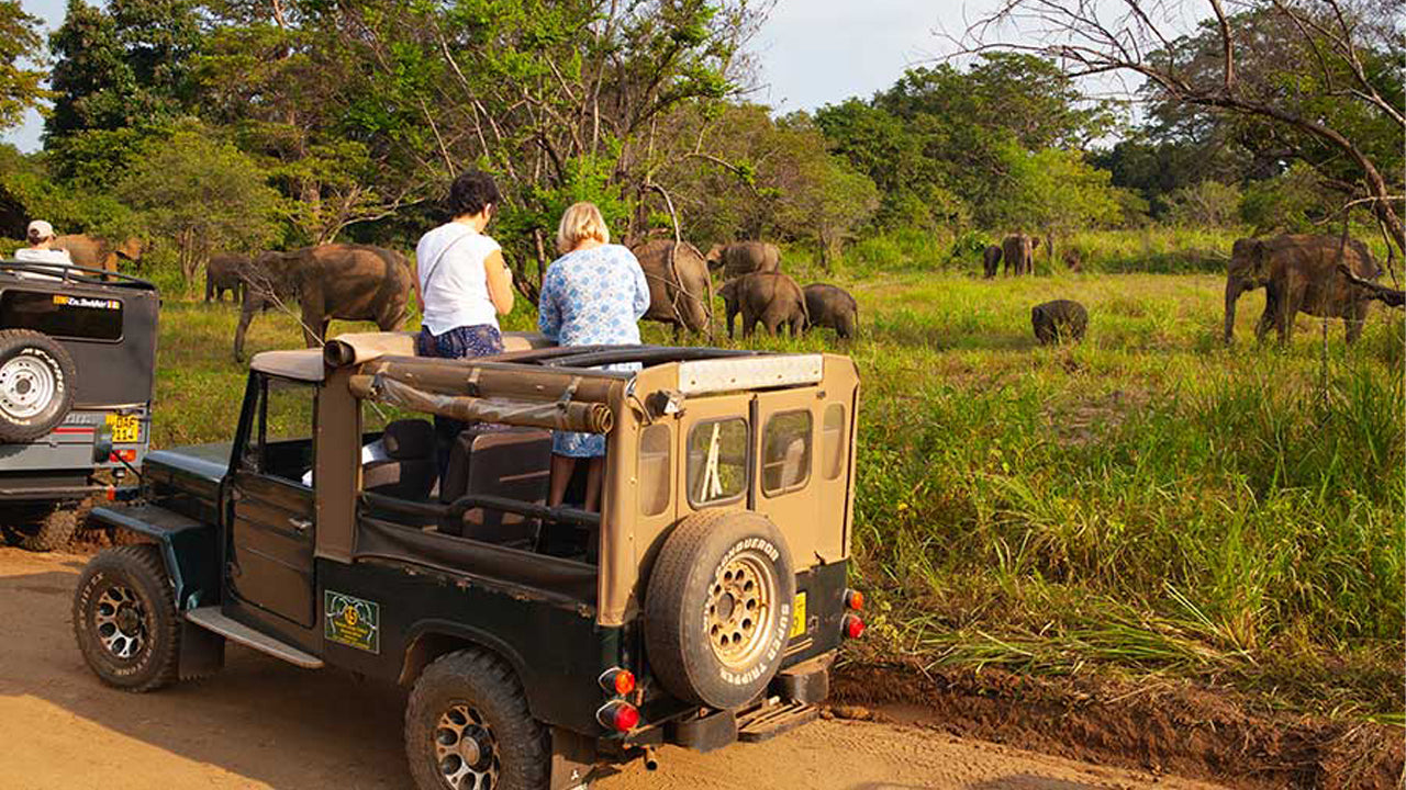 Gita di un giorno al safari all'Hurulu Eco Park da Pasikuda