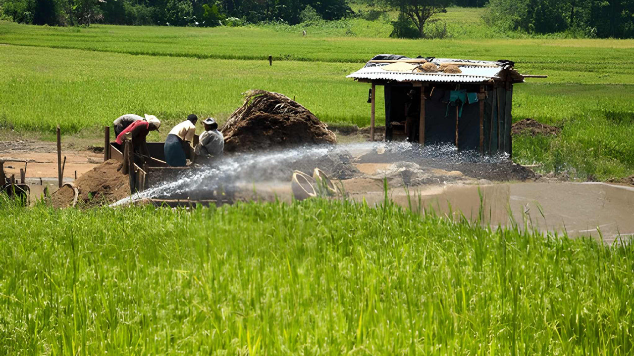 L'agricoltura dello Sri Lanka, la miniera di gemme e l'esperienza del villaggio di Ceylon 1850
