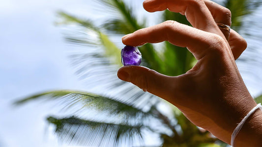 L'agricoltura dello Sri Lanka, la miniera di gemme e l'esperienza del villaggio di Ceylon 1850