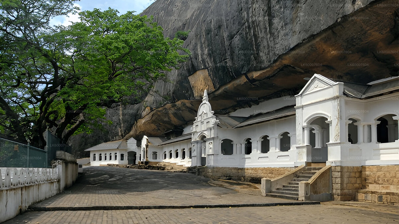 Sigiriya and Dambulla Cave from Bentota