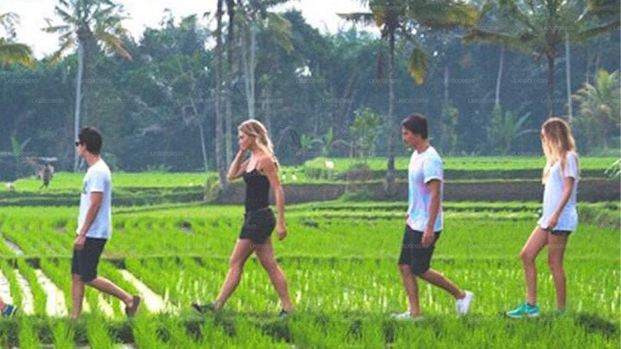 Hingula Village Safari and Honey Museum