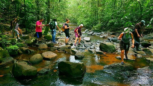 Escursione di un giorno nella foresta pluviale di Sinharaja da Ahangama