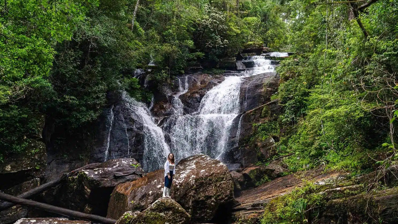 Escursione di un giorno nella foresta pluviale di Sinharaja da Ahangama