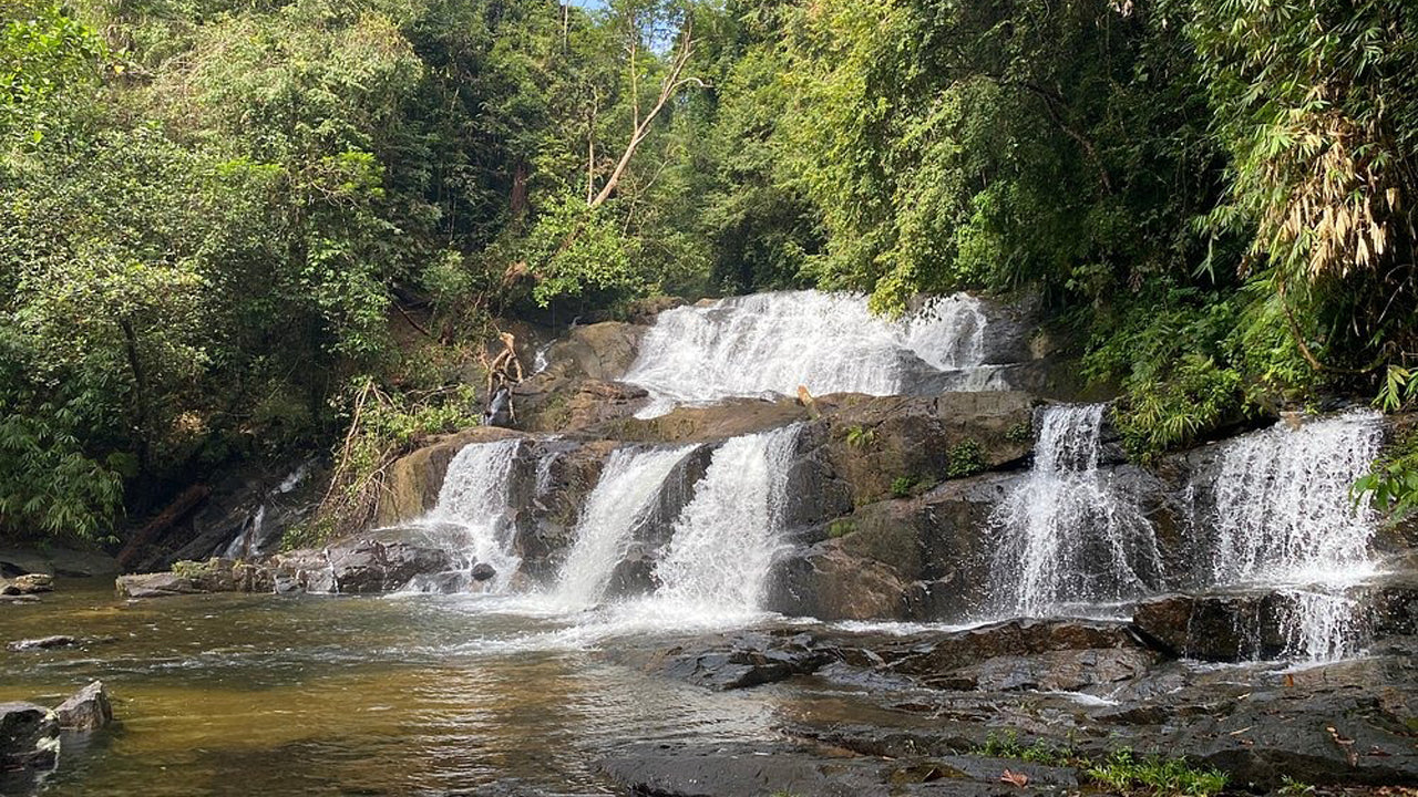 Escursione di un giorno nella foresta pluviale di Sinharaja da Ahangama
