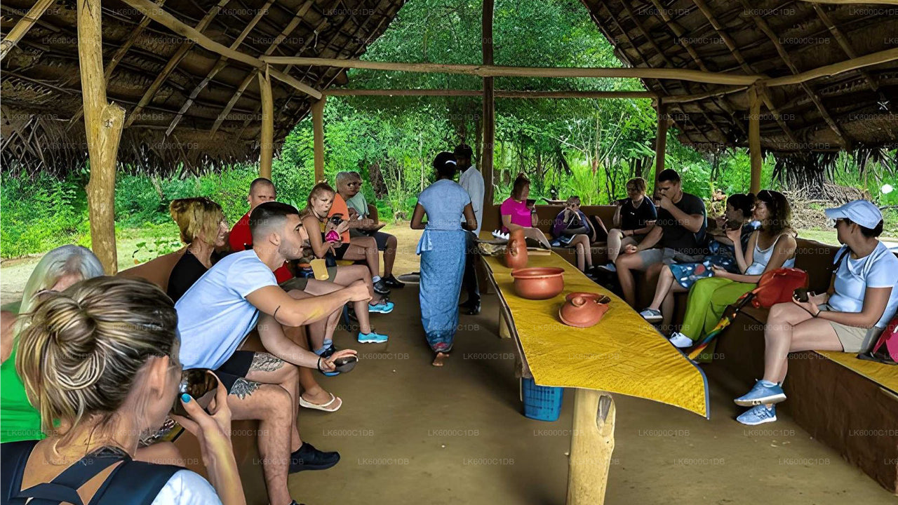 Sigiriya Rock, Village Experience and Wildlife Safari from Pasikuda