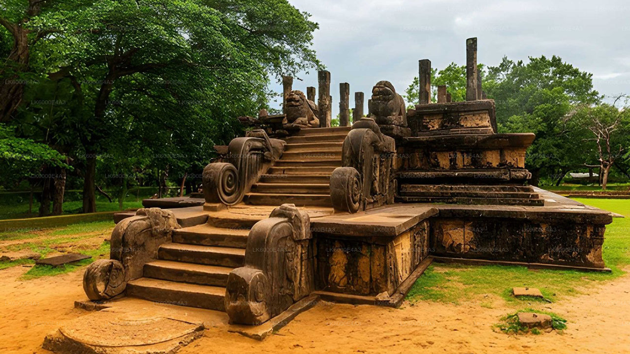 Polonnaruwa Heritage e Hurulu Eco Park Safari da Pasikuda