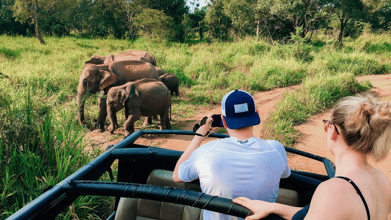 Polonnaruwa Heritage e Hurulu Eco Park Safari da Pasikuda