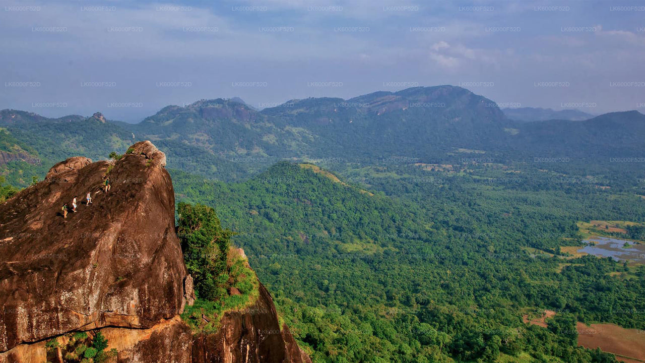 Camping Experience in Gal Oya (3 Days)